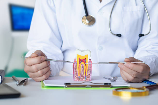 Best Knocked-Out Tooth Emergency  in Moore Haven, FL
